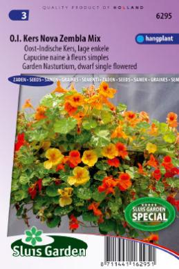 [01-006295] Tropaeolum majus nanum pendula NOVA ZEMBLA - ca 20 z
