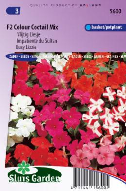 [01-005600] Impatiens walleriana COLOUR COCKTAIL F2 - ca 100 z