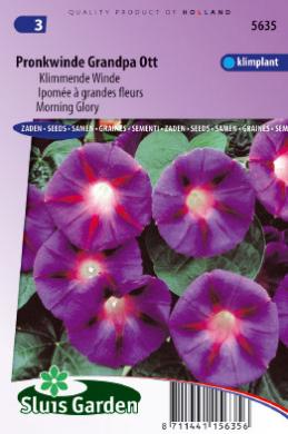 [01-005635] Ipomoea tricolor of klimmende winde GRANDPA OTT - ca 50 z