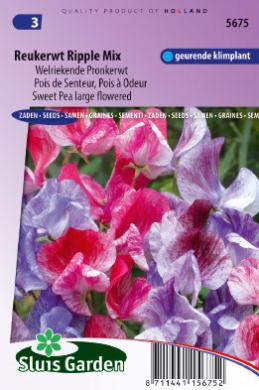 [01-005675] Lathyrus odoratus of reukerwt multiflorus RIPPLE mix - ca 30 z
