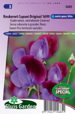 [01-005685] Lathyrus odoratus CUPANY Original 1699 - ca 30 s