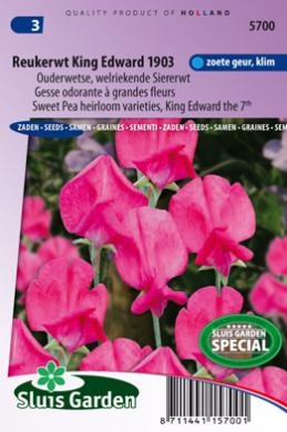 [01-005700] Lathyrus odoratus of reukerwt KING EDWARD the 7th 1903 - ca 30 z
