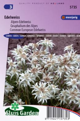 [01-005735] Leontopodium alpinum ALPEN-EDELWEISS - ca 750 z