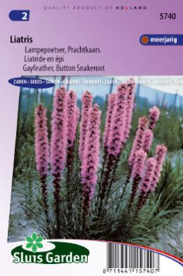 [01-005740] Liatris spicata LAMPEPOETSER PRACHTKAARS - ca 90 z
