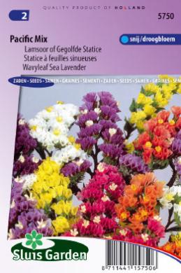 [01-005750] Limonium sinuatum of lamsoor PACIFIC mix - ca 90 z