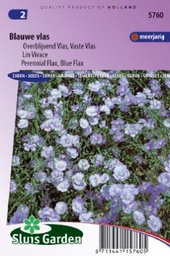 [01-005760] Vlas of Linum PERENNE - ca 325 z
