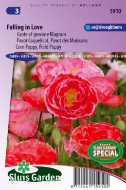 [01-005910] Papaver RHOEAS FALLING IN LOVE - ca 600 s