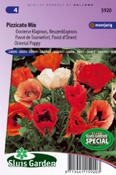 [01-005920] Papaver orientale PIZZICATO - ca 350 z