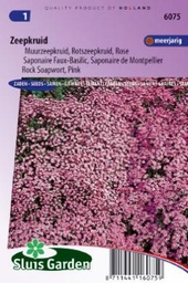 [01-006075] Saponaria OCYMOIDES - ca 180 z
