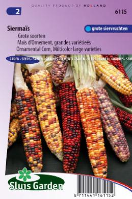 [01-006115] Mais ornemental A GROS FRUITS - ca 25 s