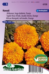 [01-006150] Tagetes erecta HAWAI - ca 150 z