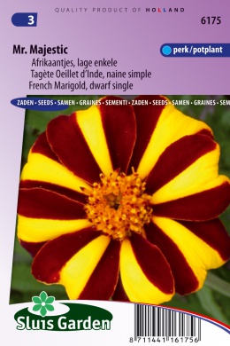 [01-006175] Tagetes patula nana of afrikaan MR. MAJESTIC - ca 130 z