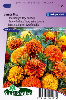[01-006195] Tagetes patula nana of afrikaan BONITA mix - ca 165 z