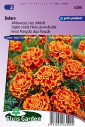 [01-006200] Tagetes patula nana BOLERO - ca 130 z