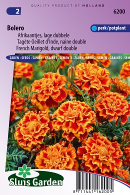 [01-006200] Tagetes patula nana of afrikaan BOLERO - ca 130 z