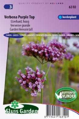 [01-006310] Verbena bonariensis PURPLE TOP - ca 600 z