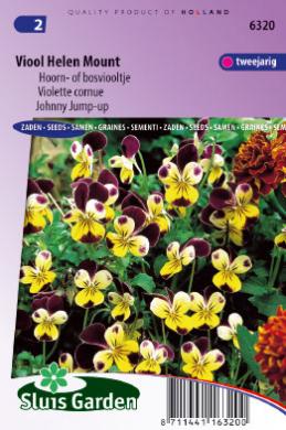 [01-006320] Viola HELEN MOUNT - ca 135 s
