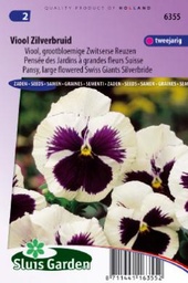[01-006355] Viola tricolor maxima ZILVERBRUID - ca 160 z