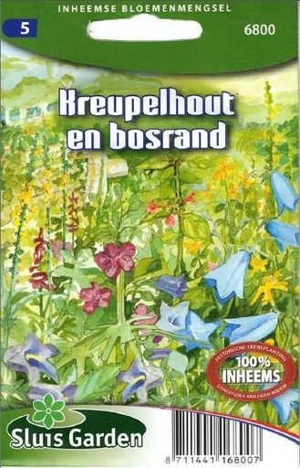[01-006800] Sous-bois de plantations historiques & BORDURE DE FORÊT - ca 3 g