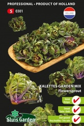 [01-000301] Spruitkool KALETTES FLOWERSPROUT - ca 18 z