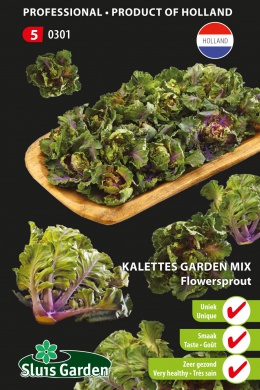 [01-000301] Spruitkool KALETTES FLOWERSPROUT - ca 18 z