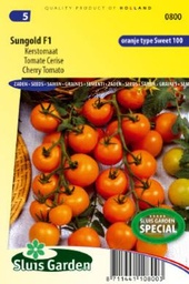 [01-000800] Aperitieftomaten SUNGOLD F1 - ca 11 z