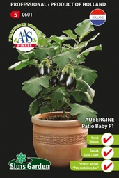 [01-000601] Aubergine of eierplant PATIO BABY F1 - ca. 10 z