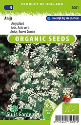 [01-002001] Bio anijs PIMPINELLA ANISUM - ca 300 z