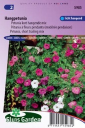 [01-005985] Petunia retombant HYBRIDE PENDULA CHOICE mix - ca 1500 s