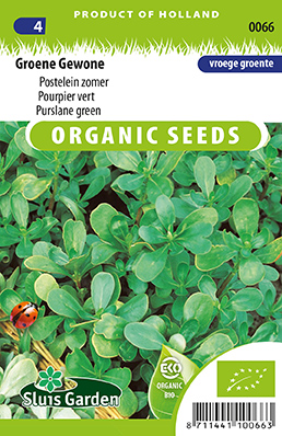 [01-000066] Postelein GROENE GEWONE (BIO) - ca 7000 z