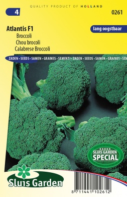 [01-000261] Brocoli ATLANTIS F1 - ca 85 s