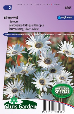 [01-008505] Arctotis ZILVER-WIT - ca 45 z