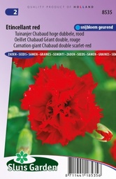 [01-008535] Dianthus caryophyllus chabaud ETINCELLANT RED - ca 90 s