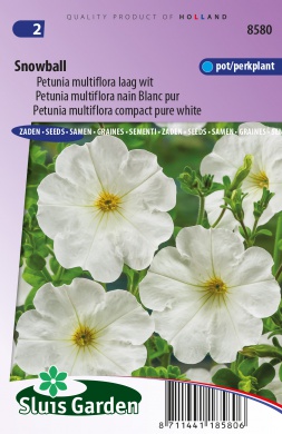[01-008580] Petunia nana compacta SNOWBALL - ca 0,1 g