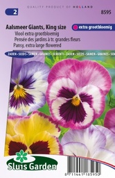 [01-008595] Viola AALSMEER GIANTS - ca 110 s
