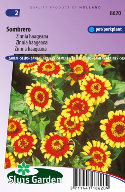 [01-008620] Zinnia SOMBRERO - ca 175 z