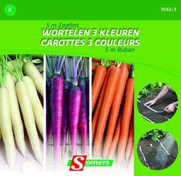 [03-005623] Wortelen zaailint GEKLEURDE WORTELEN - ca 5 m