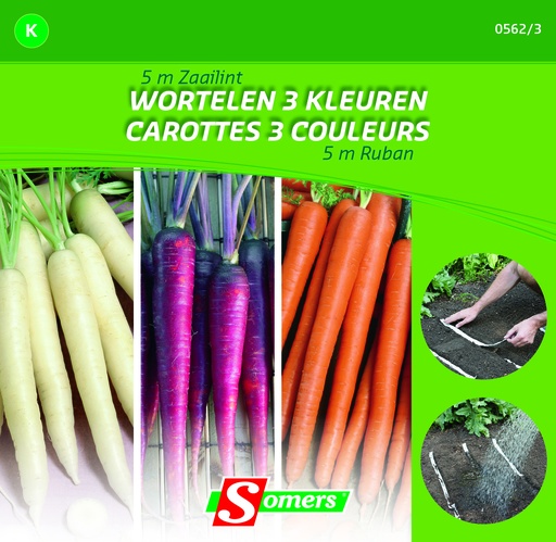 [03-005623] Wortelen zaailint GEKLEURDE WORTELEN - ca 5 m