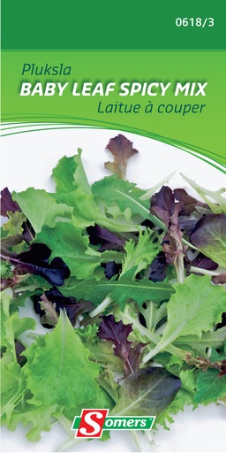 [03-006183] Babyleaves SPICY MIX - ca 2 g