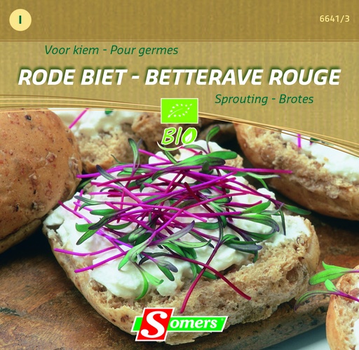 [03-066413] Kiemgroenten RODE BIET - ca 25 g