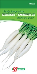 [03-003523] Radijs LANGE WITTE IJSKEGEL - ca 10 g