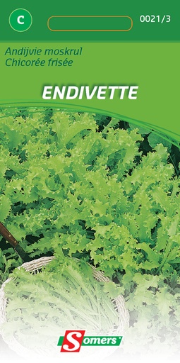 [03-000213] Chicorée scarole pour toute l'année ENDIVETTE - ca. 4 g