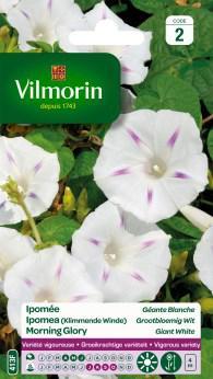 [03-000413] ###Ipomoea of klimmende winde MORNING GLORY - ca 6 g