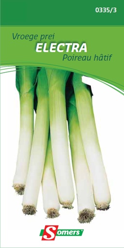 [03-003353] Poireau été ELECTRA - ca 3 g