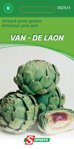 [03-000293] Artisjok IMPERIAL STAR F1 (LAON)- ca 20z