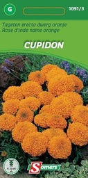 [03-010913] Tagetes erecta CUPIDON dwerg oranje - ca 0,5 g