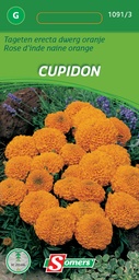 [03-010913] Tagetes erecta CUPIDON dwerg oranje - ca 0,5 g