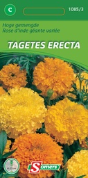 [03-010903] Tagetes erecta CUPID dwerg citroengeel - ca 0,5 g