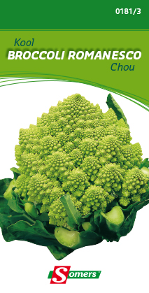 [03-001813] Torentjesbloemkool ROMANESCO - ca 2 g