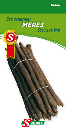 [03-004443] Scorsonères MERES - ca 3 g